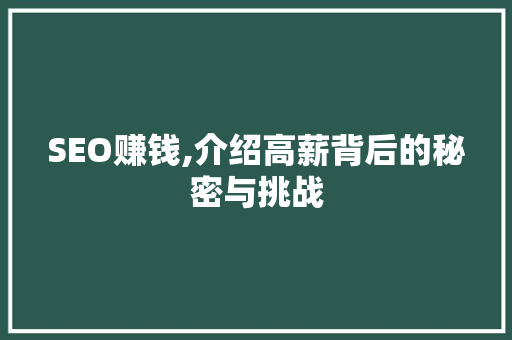 SEO赚钱,介绍高薪背后的秘密与挑战 百度SEO