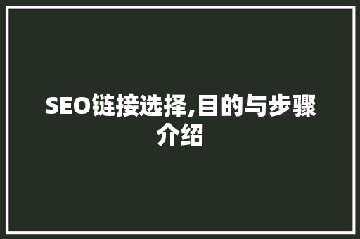 SEO链接选择,目的与步骤介绍 GoogleSEO