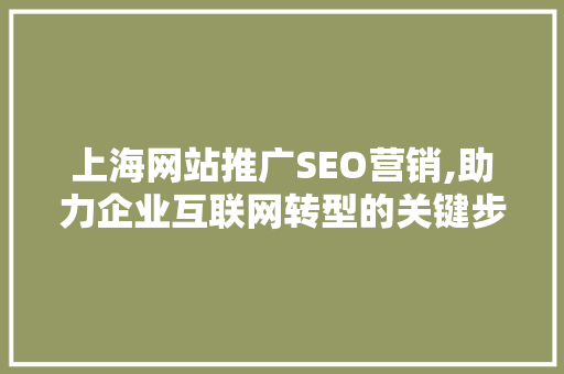 上海网站推广SEO营销,助力企业互联网转型的关键步骤 百度SEO