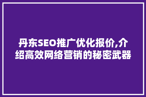 丹东SEO推广优化报价,介绍高效网络营销的秘密武器
