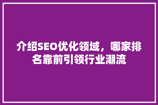 介绍SEO优化领域，哪家排名靠前引领行业潮流 必应SEO
