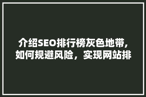 介绍SEO排行榜灰色地带,如何规避风险，实现网站排名提升 百度SEO
