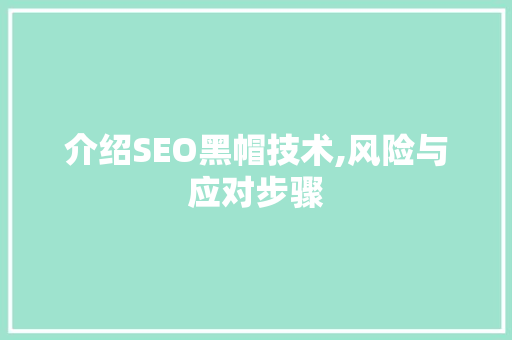 介绍SEO黑帽技术,风险与应对步骤 GoogleSEO