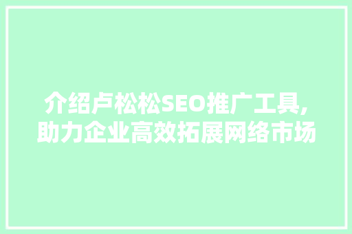 介绍卢松松SEO推广工具,助力企业高效拓展网络市场 GoogleSEO