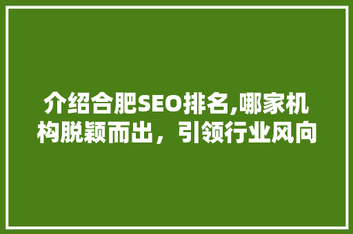 介绍合肥SEO排名,哪家机构脱颖而出，引领行业风向标