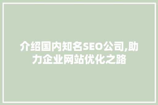 介绍国内知名SEO公司,助力企业网站优化之路 GoogleSEO