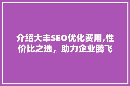 介绍大丰SEO优化费用,性价比之选，助力企业腾飞 搜狗SEO