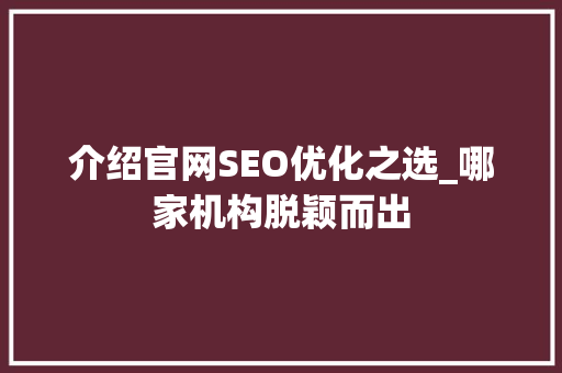 介绍官网SEO优化之选_哪家机构脱颖而出