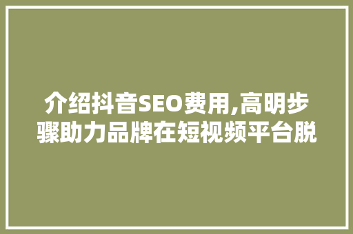 介绍抖音SEO费用,高明步骤助力品牌在短视频平台脱颖而出 神马SEO