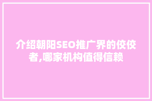 介绍朝阳SEO推广界的佼佼者,哪家机构值得信赖 必应SEO