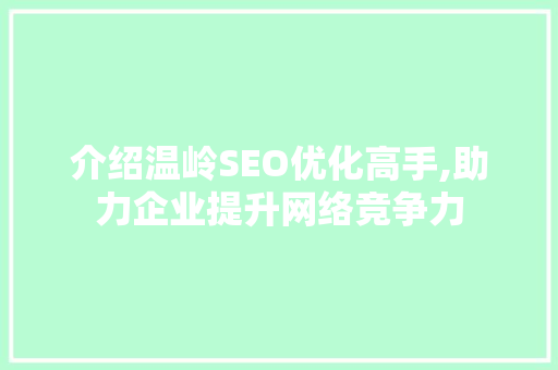 介绍温岭SEO优化高手,助力企业提升网络竞争力 GoogleSEO