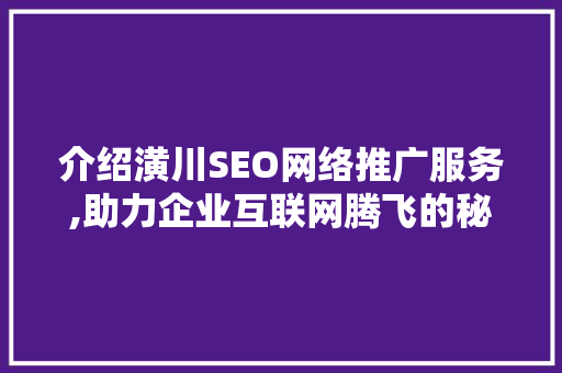 介绍潢川SEO网络推广服务,助力企业互联网腾飞的秘密武器