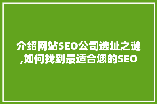 介绍网站SEO公司选址之谜,如何找到最适合您的SEO合作伙伴 百度SEO