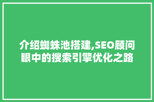 介绍蜘蛛池搭建,SEO顾问眼中的搜索引擎优化之路