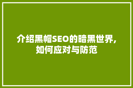 介绍黑帽SEO的暗黑世界,如何应对与防范 必应SEO