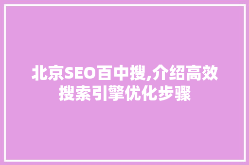 北京SEO百中搜,介绍高效搜索引擎优化步骤 百度SEO