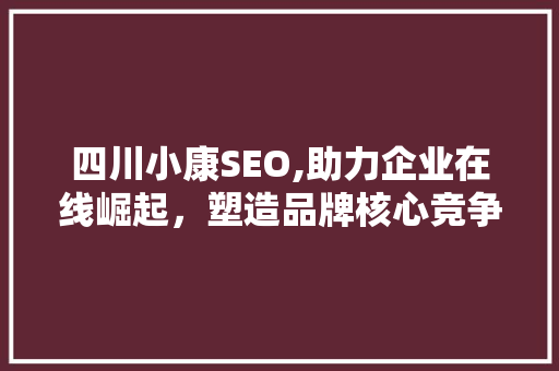 四川小康SEO,助力企业在线崛起，塑造品牌核心竞争力 GoogleSEO