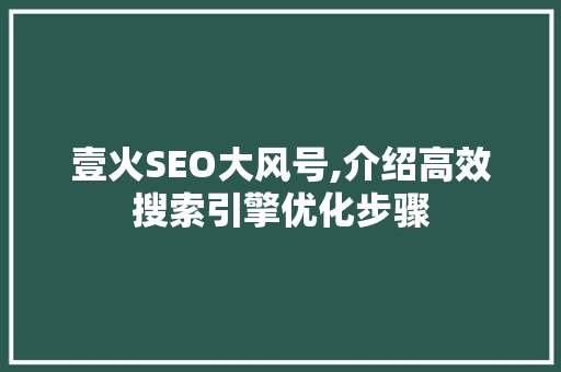 壹火SEO大风号,介绍高效搜索引擎优化步骤 搜狗SEO