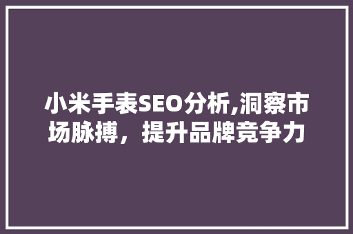 小米手表SEO分析,洞察市场脉搏，提升品牌竞争力 GoogleSEO