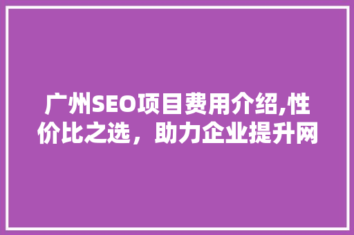 广州SEO项目费用介绍,性价比之选，助力企业提升网络竞争力