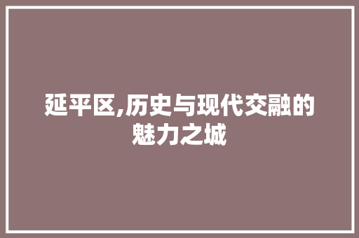延平区,历史与现代交融的魅力之城 百度SEO