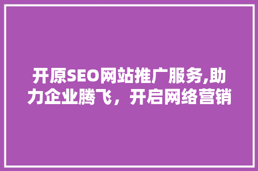开原SEO网站推广服务,助力企业腾飞，开启网络营销新篇章 必应SEO