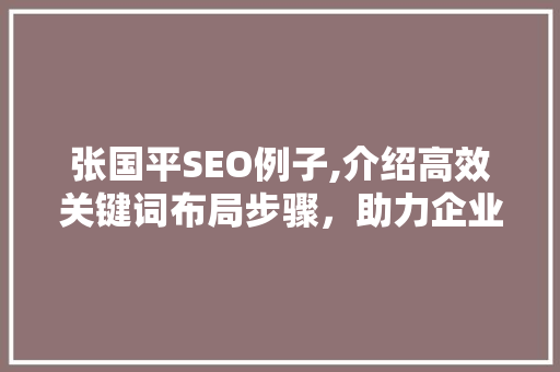 张国平SEO例子,介绍高效关键词布局步骤，助力企业网站优化 百度SEO