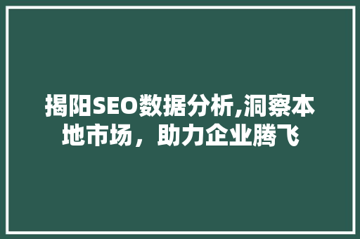 揭阳SEO数据分析,洞察本地市场，助力企业腾飞 GoogleSEO