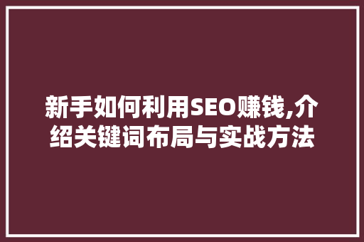 新手如何利用SEO赚钱,介绍关键词布局与实战方法