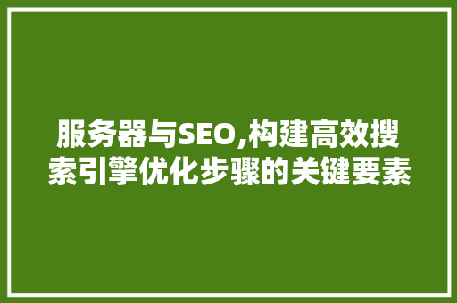 服务器与SEO,构建高效搜索引擎优化步骤的关键要素 GoogleSEO