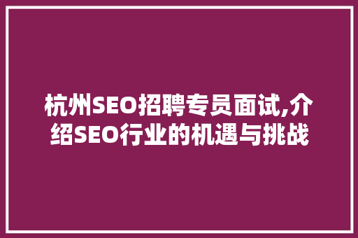 杭州SEO招聘专员面试,介绍SEO行业的机遇与挑战 GoogleSEO