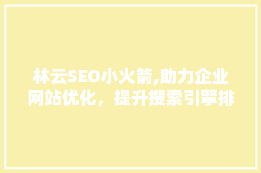 林云SEO小火箭,助力企业网站优化，提升搜索引擎排名 搜狗SEO
