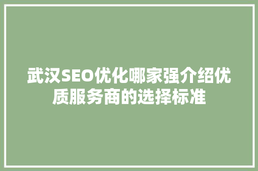 武汉SEO优化哪家强介绍优质服务商的选择标准 百度SEO