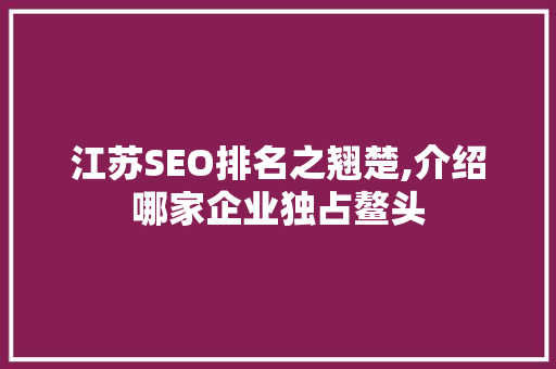 江苏SEO排名之翘楚,介绍哪家企业独占鳌头 必应SEO