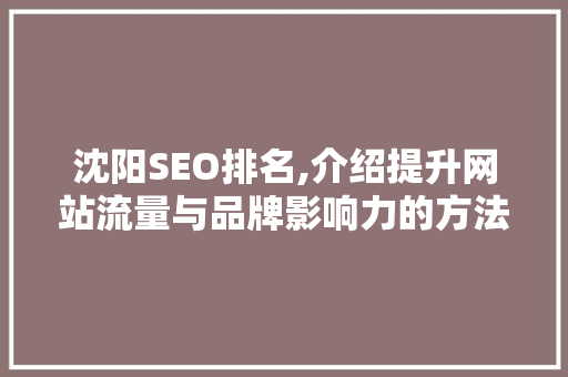沈阳SEO排名,介绍提升网站流量与品牌影响力的方法 百度SEO