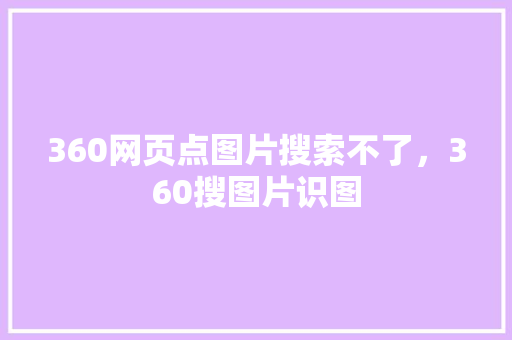 360网页点图片搜索不了，360搜图片识图 百度SEO
