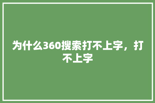 为什么360搜索打不上字，打不上字 百度SEO