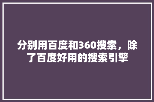 分别用百度和360搜索，除了百度好用的搜索引擎 GoogleSEO