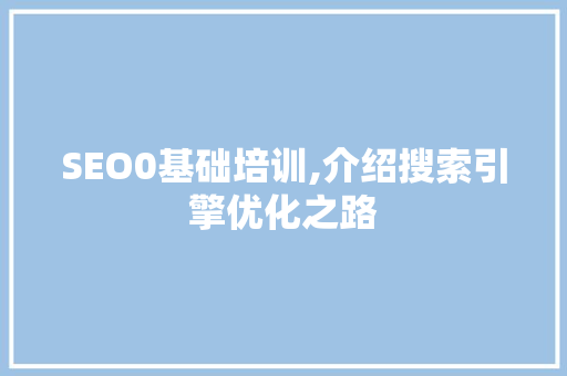 SEO0基础培训,介绍搜索引擎优化之路 百度SEO