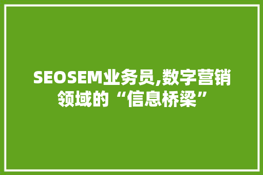SEOSEM业务员,数字营销领域的“信息桥梁” GoogleSEO