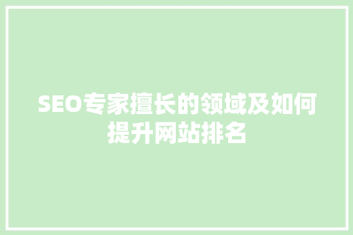 SEO专家擅长的领域及如何提升网站排名