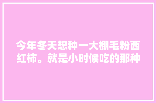 今年冬天想种一大棚毛粉西红柿。就是小时候吃的那种，不知道能挣钱吗「」 今年冬天想种一大棚毛粉西红柿。就是小时候吃的那种，不知道能挣钱吗「」 GoogleSEO