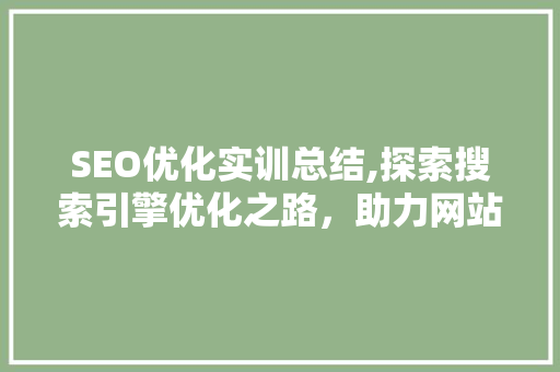 SEO优化实训总结,探索搜索引擎优化之路，助力网站提升排名 必应SEO