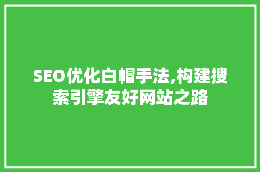 SEO优化白帽手法,构建搜索引擎友好网站之路 百度SEO