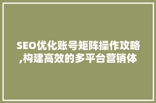SEO优化账号矩阵操作攻略,构建高效的多平台营销体系 必应SEO
