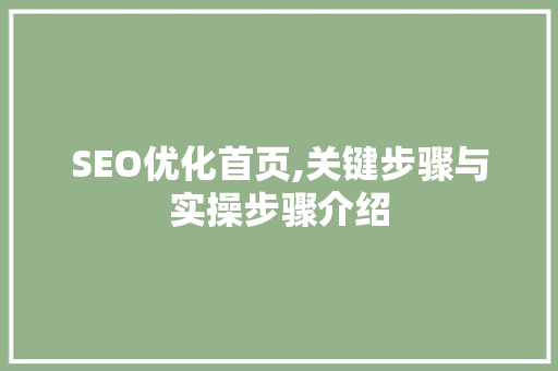 SEO优化首页,关键步骤与实操步骤介绍 GoogleSEO
