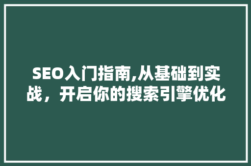 SEO入门指南,从基础到实战，开启你的搜索引擎优化之旅 百度SEO