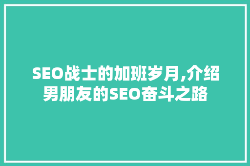 SEO战士的加班岁月,介绍男朋友的SEO奋斗之路