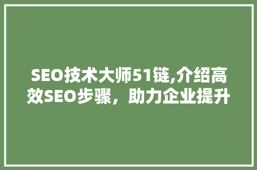 SEO技术大师51链,介绍高效SEO步骤，助力企业提升网络曝光度 神马SEO