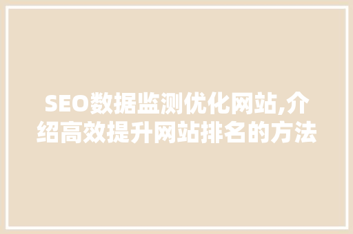 SEO数据监测优化网站,介绍高效提升网站排名的方法